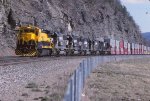 SLN 5 behind NYSW and NS power